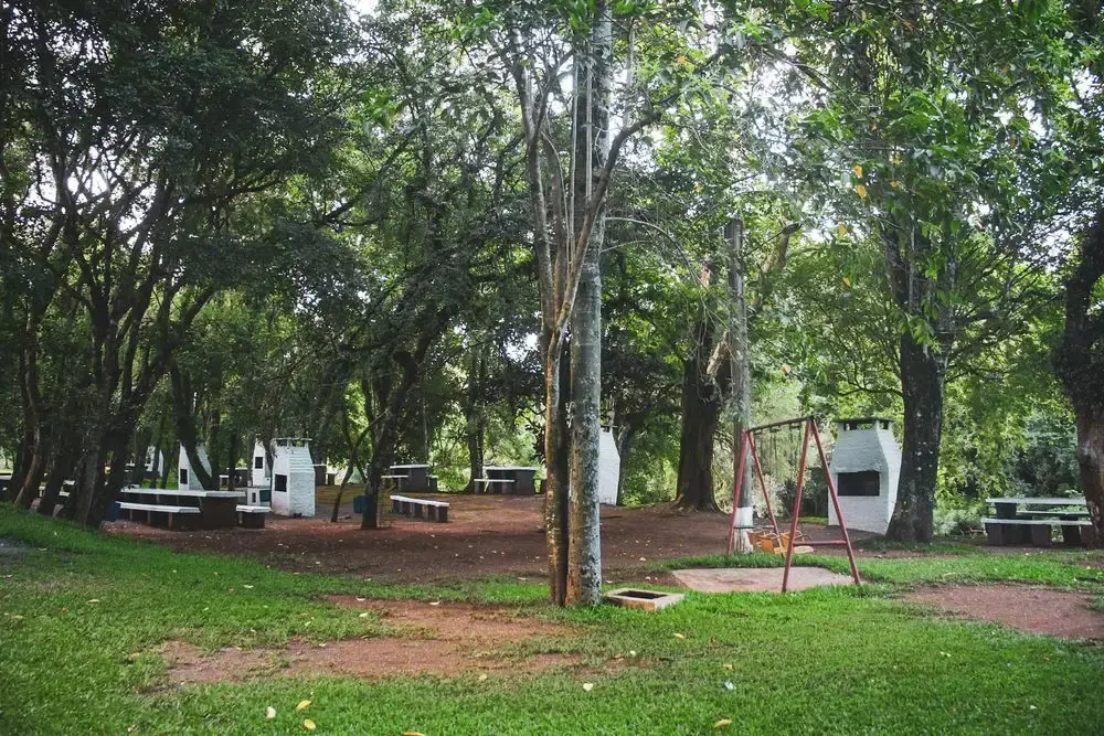 Bosque com churrasqueiras, mesas e balanço, à sombra