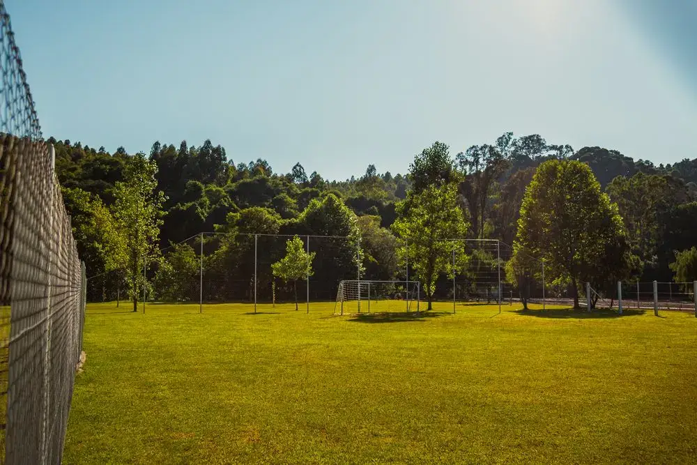 Campo de futebol gramado com traves e cerca, cercado de mata