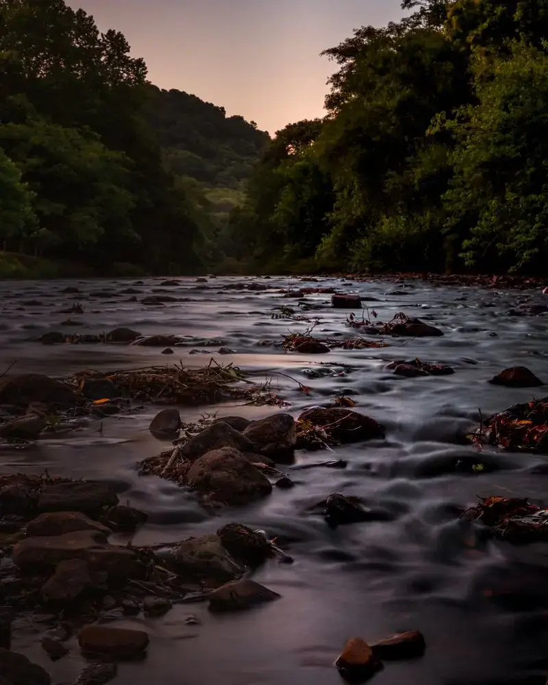 Água do rio correndo entre as pedras, com a mata ao entardecer